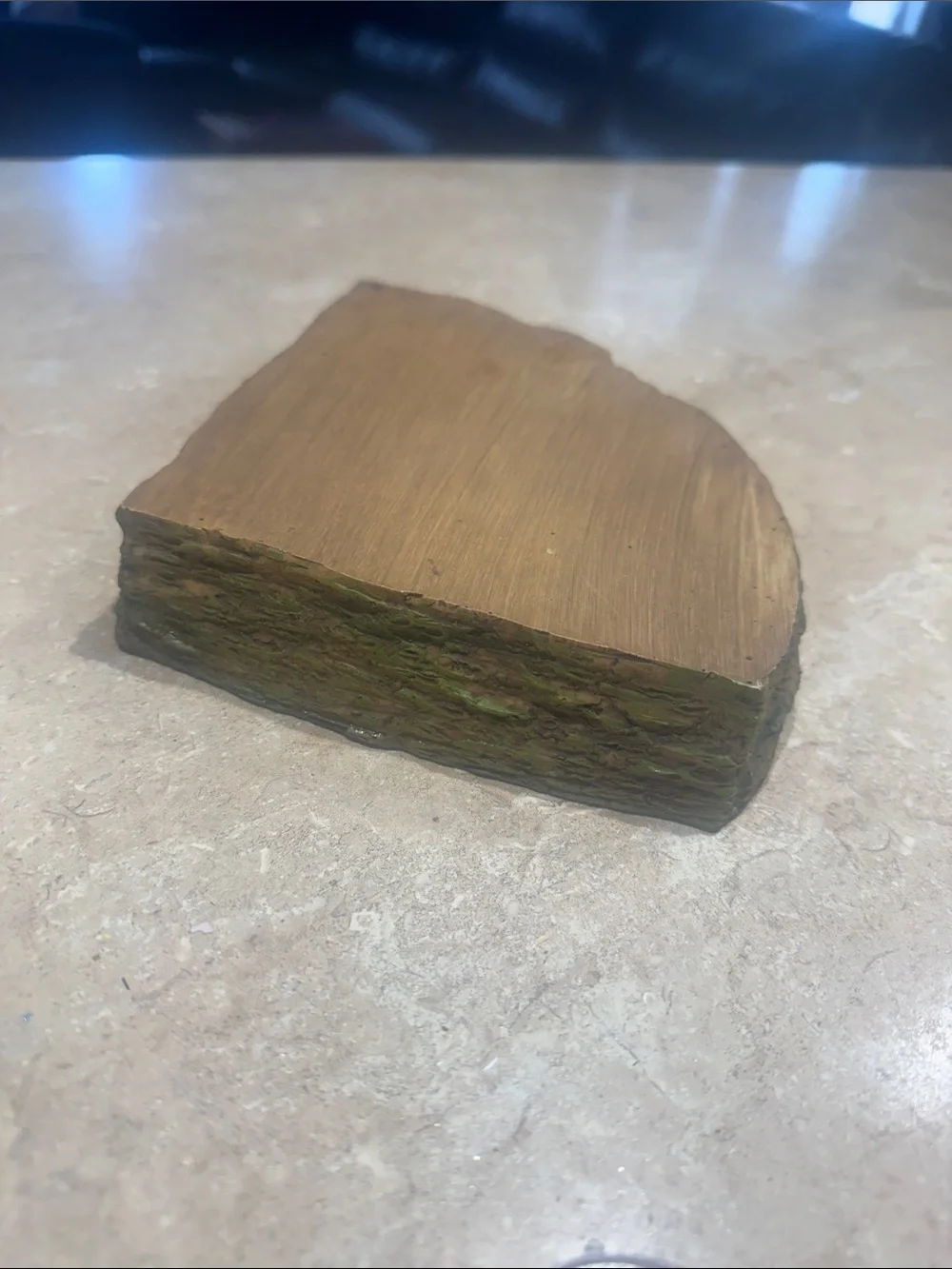Reptile Dish